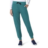 C51113 Carhartt Force Women's Force Modern Fit Jogger Pants