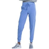 DK065 Dickies EDS Essentials Pantalon Jogger Cargo avec 6 Poches