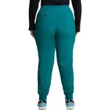 DK065 Dickies EDS Essentials Pantalon Jogger Cargo avec 6 Poches