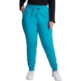 DK065 Dickies EDS Essentials Pantalon Jogger Cargo avec 6 Poches