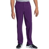 DK015 Dickies EDS Essentials Pantalon à Jambe Droites avec 6 Poches pour Hommes