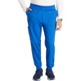 WW251 Workwear Revolution Pantalon Cargo à Jambe Jogger pour Hommes par Cherokee