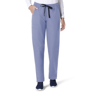 C55013 Carhartt Force Unisex Modern Fit Elastic Waist Pant