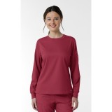 6551 Boundless Crew Neck Long Sleeve Top by WINK